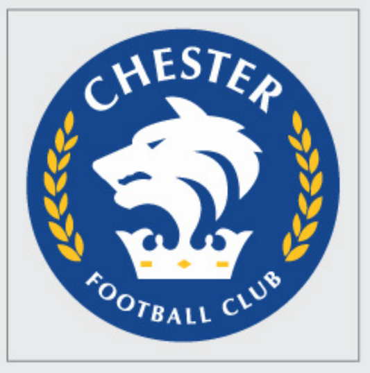 Car Sticker - Logo